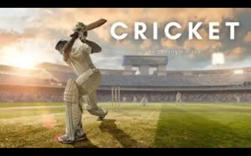 cricket stock featured image